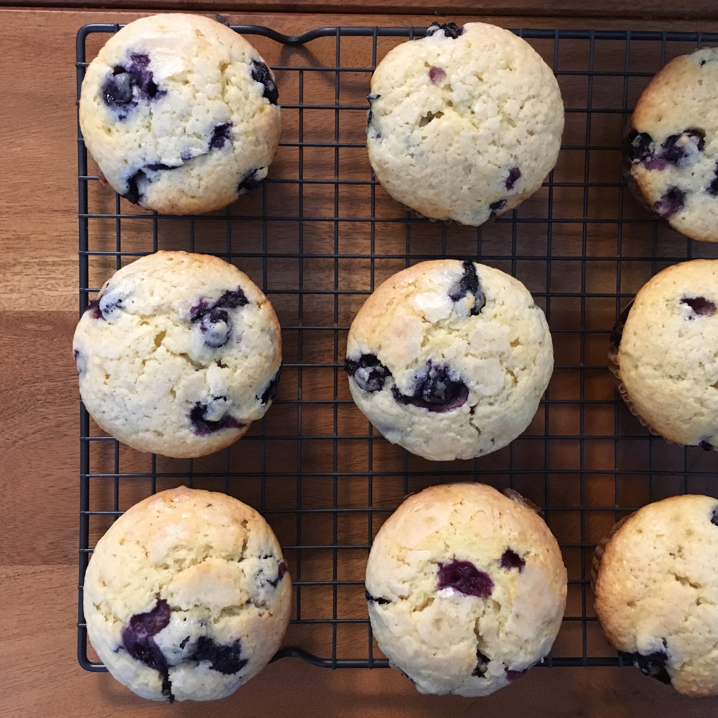 Lemon Blueberry Muffins